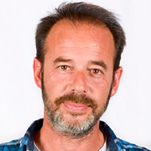 David Torrents