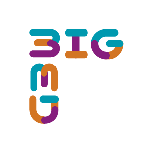 Logo of BigMed